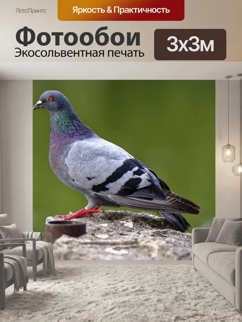 Фотообои Птица
