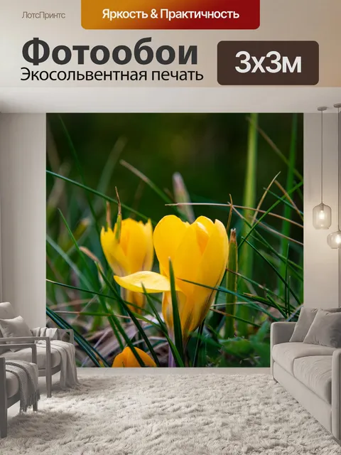 Фотообои Цветок, ботанические крокусы
