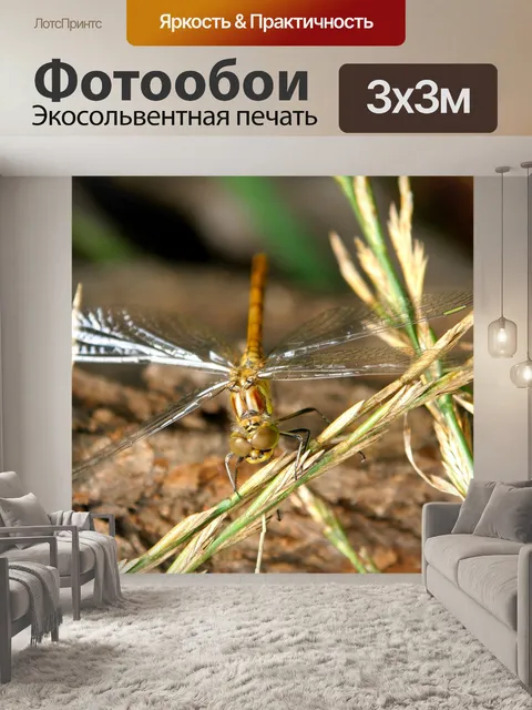 Фотообои Животное