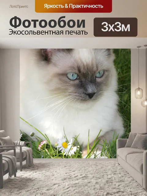 Фотообои Тряпичная кукла