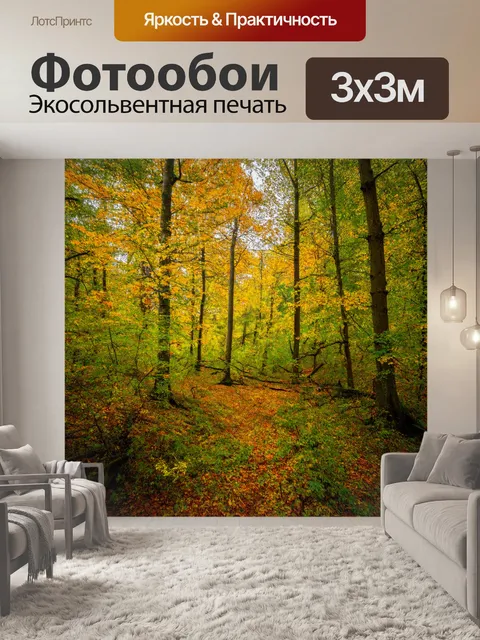 Фотообои лес с меняющимися сезонами, показывающими весну, лето, осень и зиму