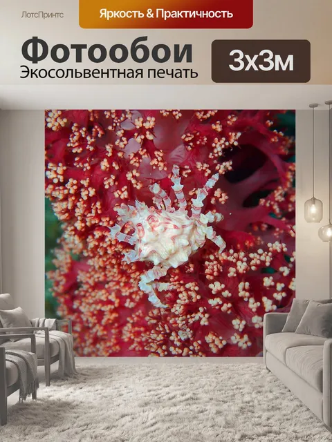 Фотообои Краб