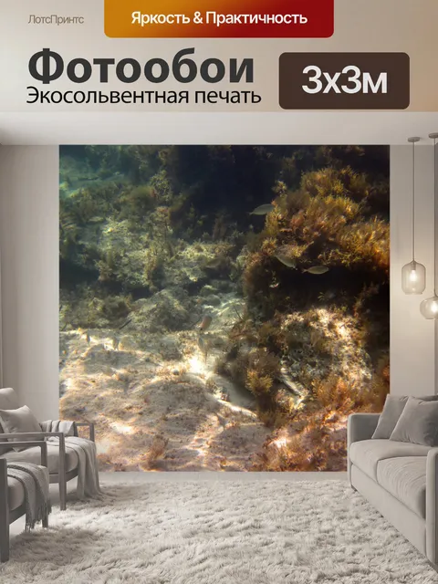 Фотообои Подводный wildlife