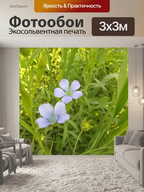 Фотообои Цветок