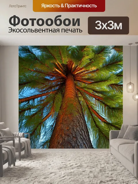 Фотообои текстура большой сосны