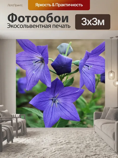 Фотообои Фиолетовый шар Цветы и бутоны