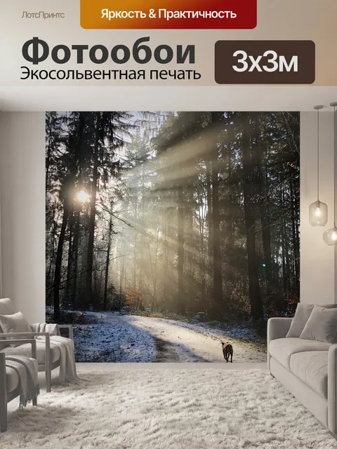 Фотообои Лес