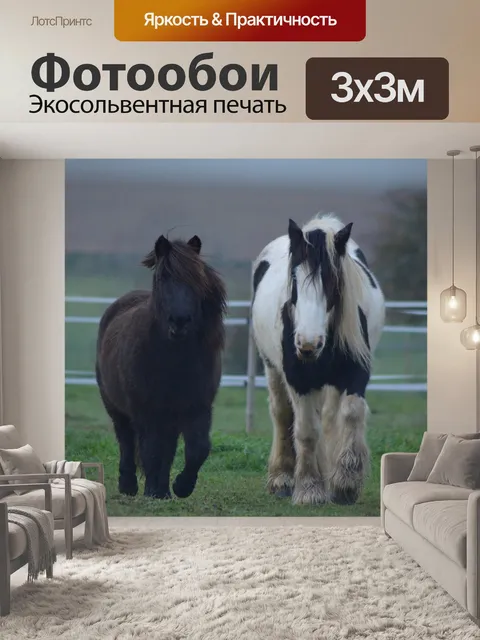 Фотообои Лошади