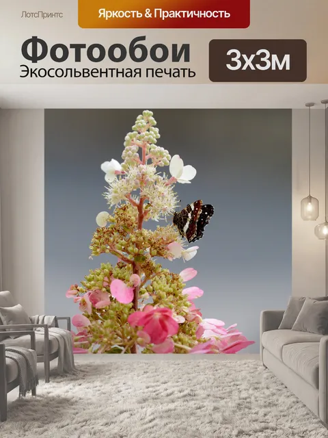 Фотообои Бабочка