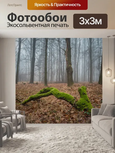 Фотообои Одиночество