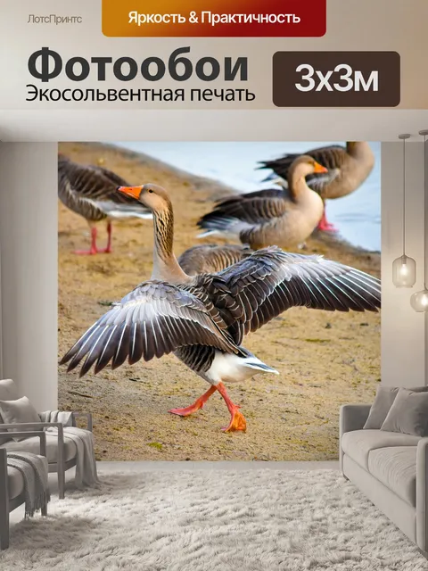 Фотообои Гуси