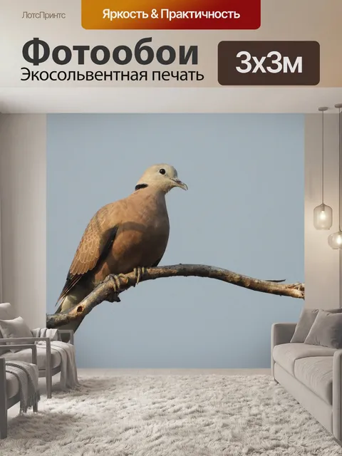 Фотообои Птицы