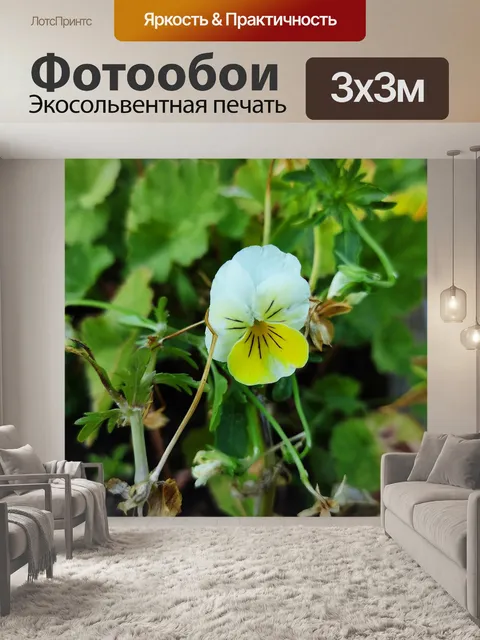 Фотообои Сад