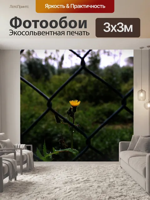 Фотообои Природа