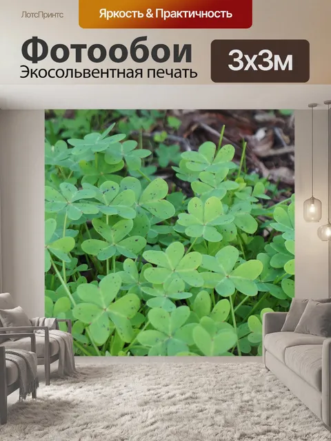 Фотообои Листья