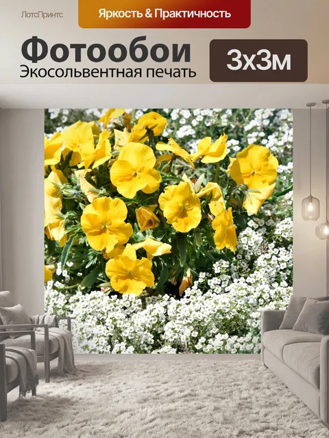 Фотообои Желтые Анютины глазки Белый почвопокровн