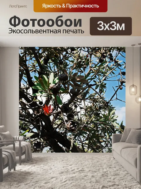 Фотообои всплеск цвета на кусте сахара