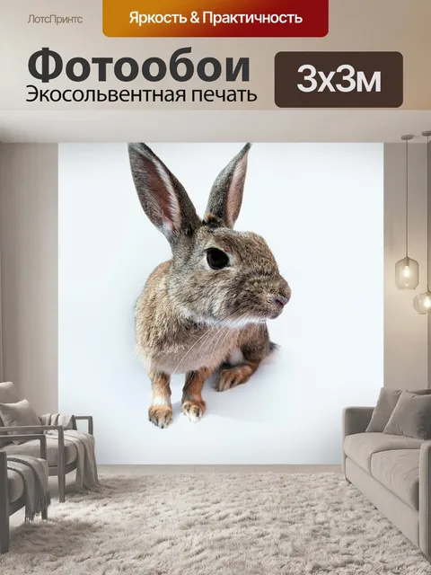 Фотообои Кролик
