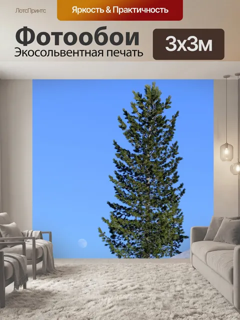 Фотообои Сосны