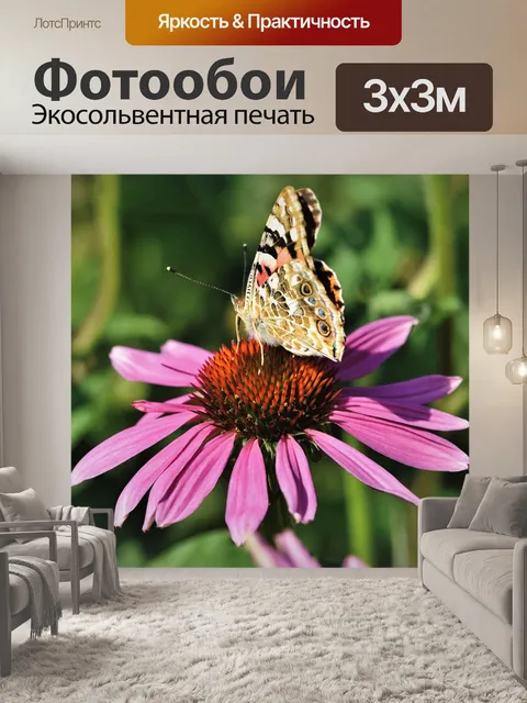 Фотообои Бабочка
