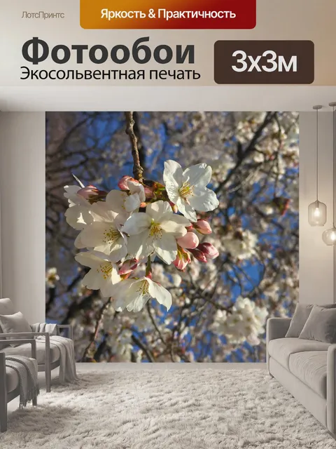Фотообои Сакура