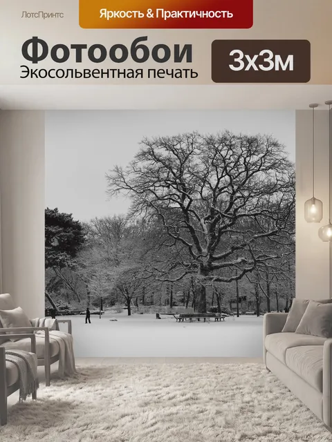Фотообои Зима