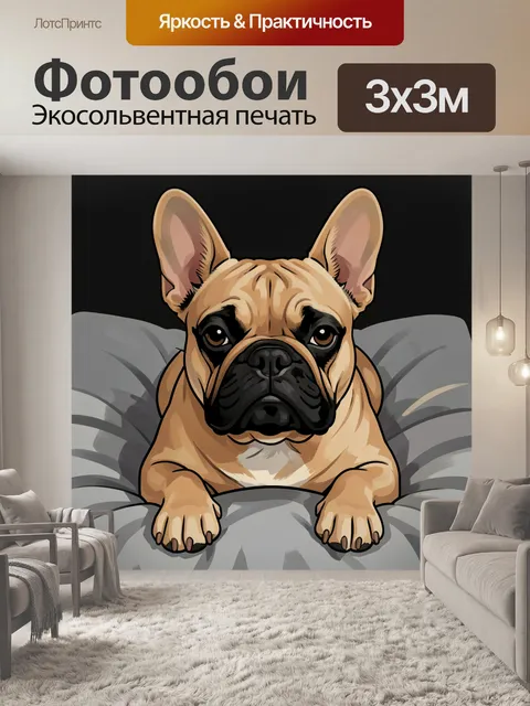 Фотообои Французский бульдог на диване