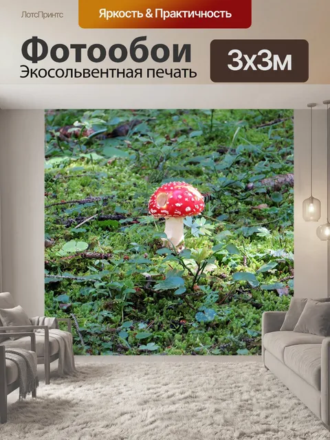 Фотообои Поганка