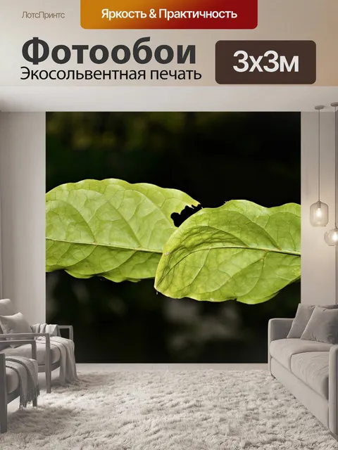 Фотообои Листья