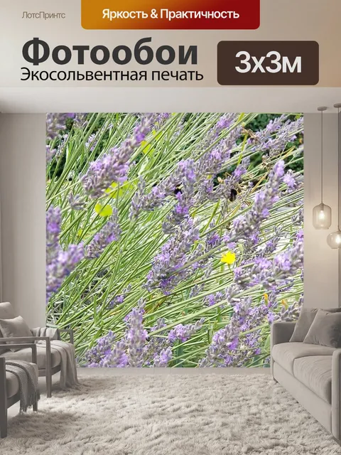 Фотообои Лаванда