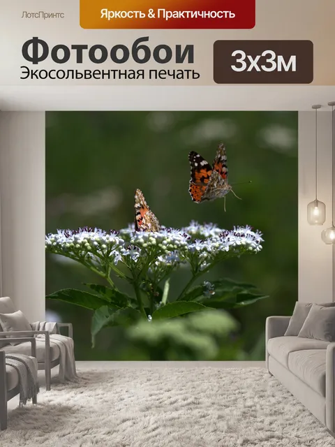 Фотообои Бабочки