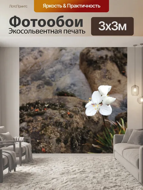 Фотообои Цветок