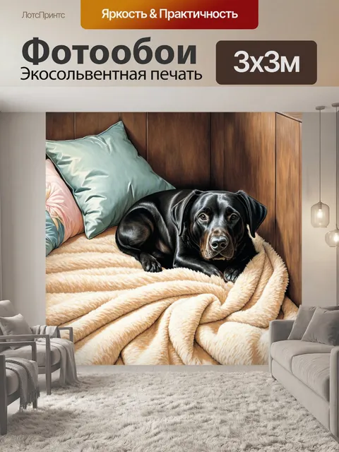 Фотообои черный лабрадор, свернувшись калачиком в уютном уголке дома, с мягкостью подушки и текстурой пледа