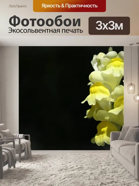 Фотообои Цветок