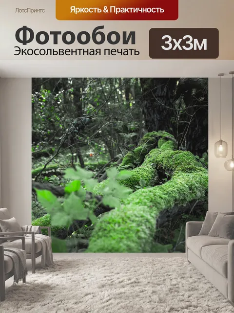 Фотообои Лес