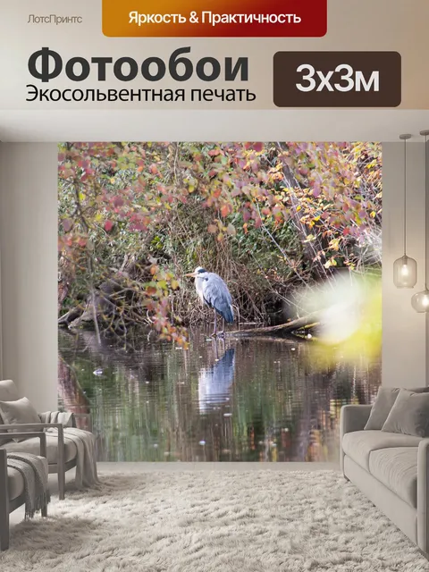 Фотообои Птица