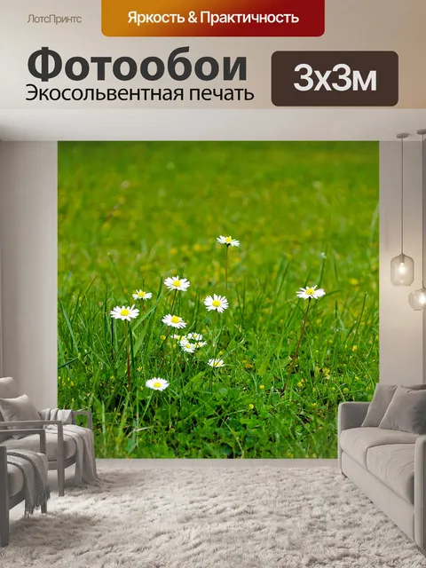 Фотообои цветы на траве