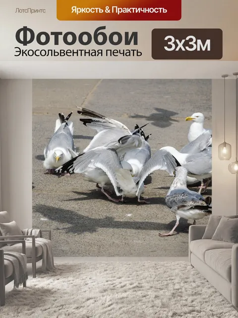 Фотообои Чайки