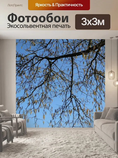 Фотообои Ветви