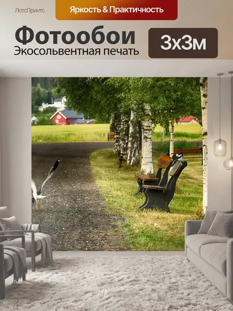 Фотообои Чайка