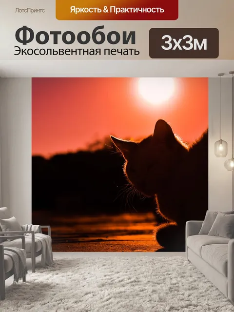 Фотообои Заход солнца
