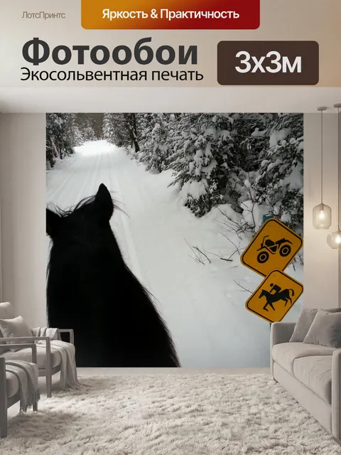 Фотообои Пас Horse