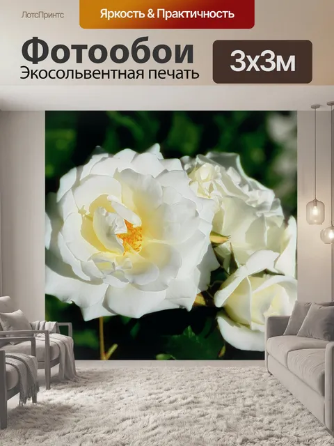 Фотообои Розовый