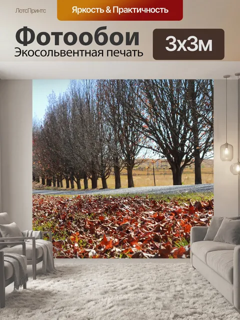 Фотообои Дорога