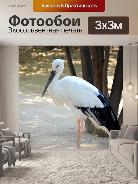 Фотообои Аист (а)