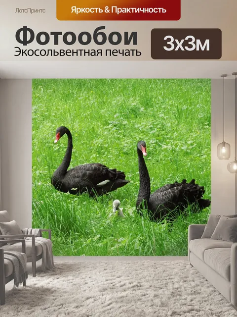 Фотообои Трава