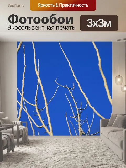 Фотообои голые веточки против голубого неба