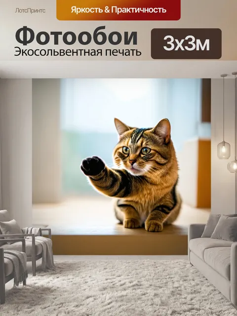 Фотообои кот, указывающий лапкой на что-то интересное