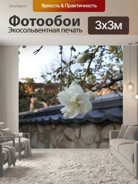 Фотообои Цветы