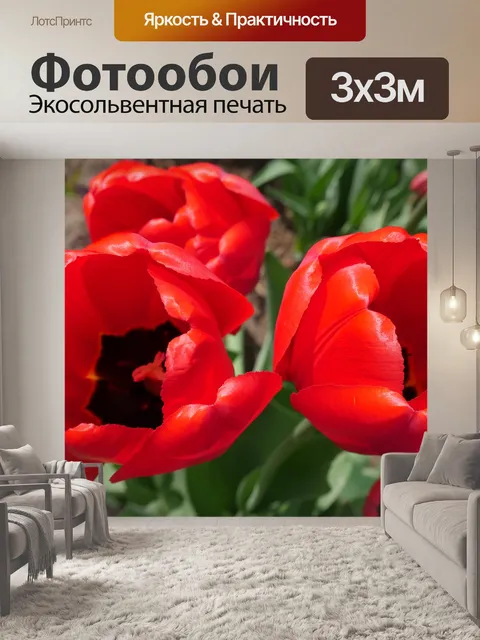 Фотообои Красные тюльпаны